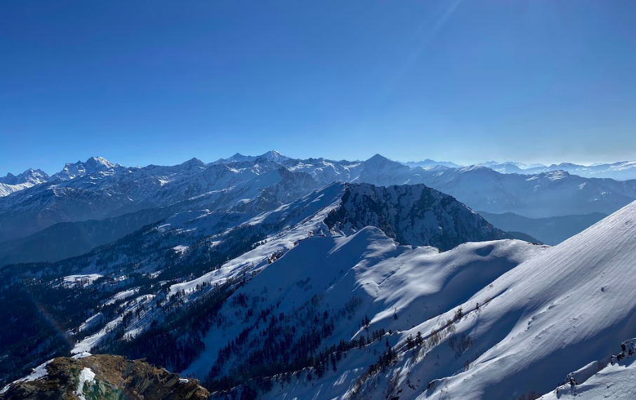 Screenshot 2022-07-24 at 11.56.42 AM