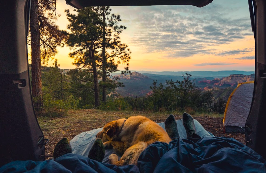 Screenshot 2022-07-24 at 12.31.57 PM