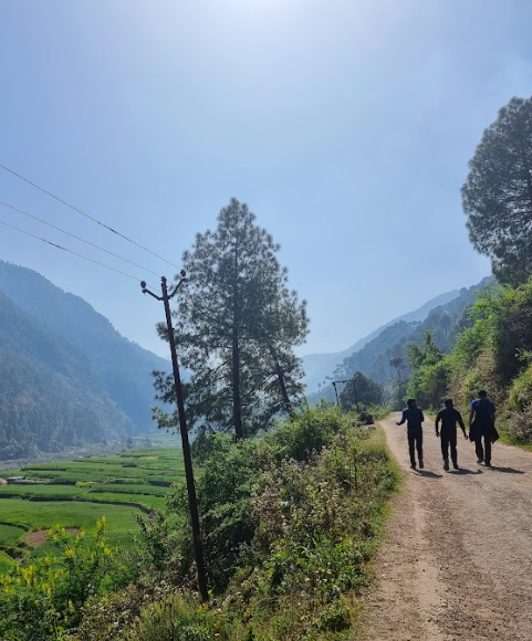 Screenshot 2022-07-24 at 12.39.38 PM