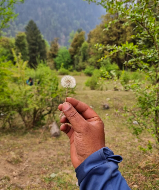 Screenshot 2022-07-24 at 12.44.29 PM